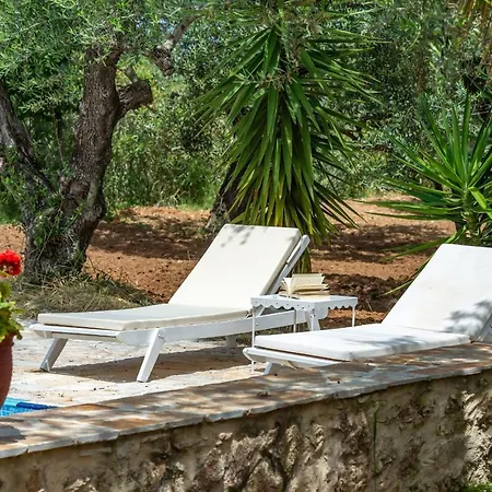 Olivegrove - Nestled In Olive Trees With Private Pool, By Zantewize Vilă