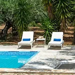 Olivegrove - Nestled In Olive Trees With Private Pool, By Zantewize فيلة تراغاكي