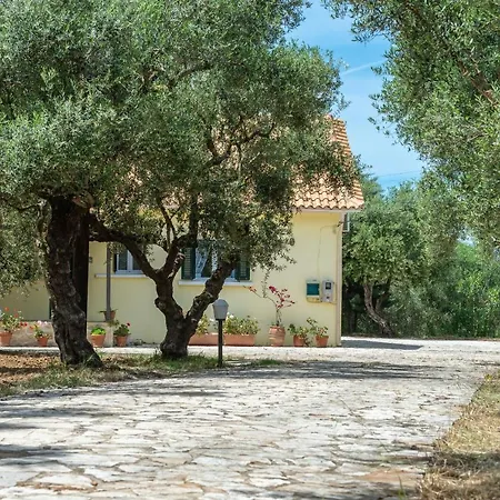 Olivegrove - Nestled In Olive Trees With Private Pool, By Zantewize فيلة