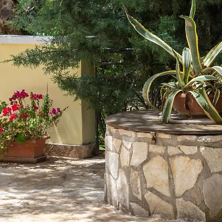 Olivegrove - Nestled In Olive Trees With Private Pool, By Zantewize * Tragaki